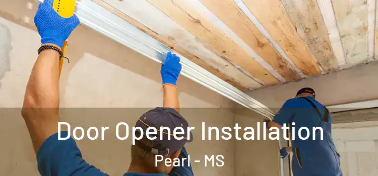  Door Opener Installation Pearl - MS