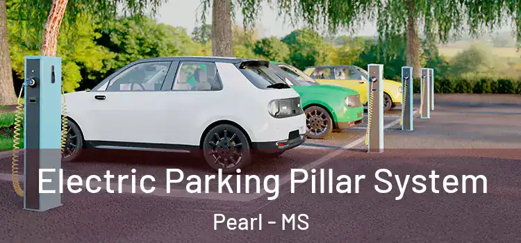  Electric Parking Pillar System Pearl - MS