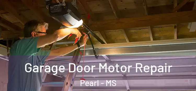  Garage Door Motor Repair Pearl - MS