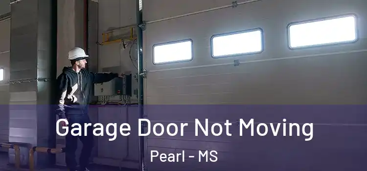 Garage Door Not Moving Pearl - MS