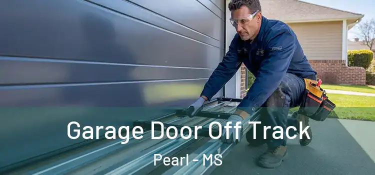  Garage Door Off Track Pearl - MS