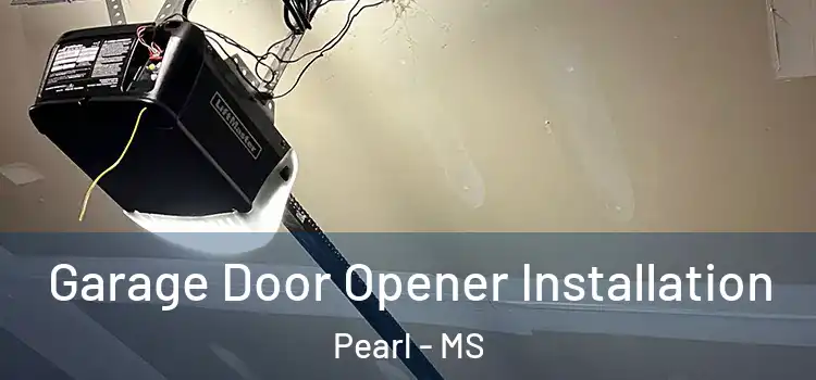  Garage Door Opener Installation Pearl - MS