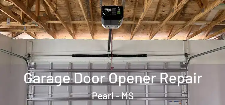  Garage Door Opener Repair Pearl - MS