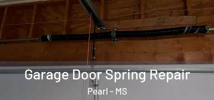  Garage Door Spring Repair Pearl - MS