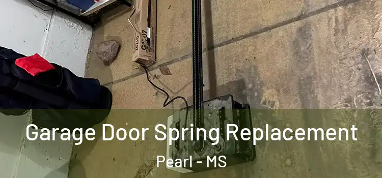 Garage Door Spring Replacement Pearl - MS