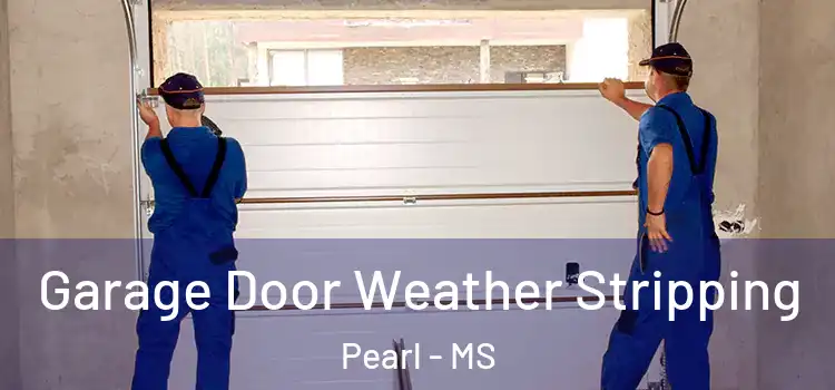  Garage Door Weather Stripping Pearl - MS