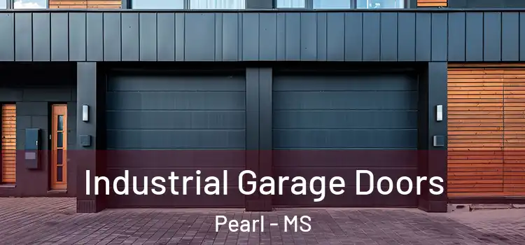  Industrial Garage Doors Pearl - MS