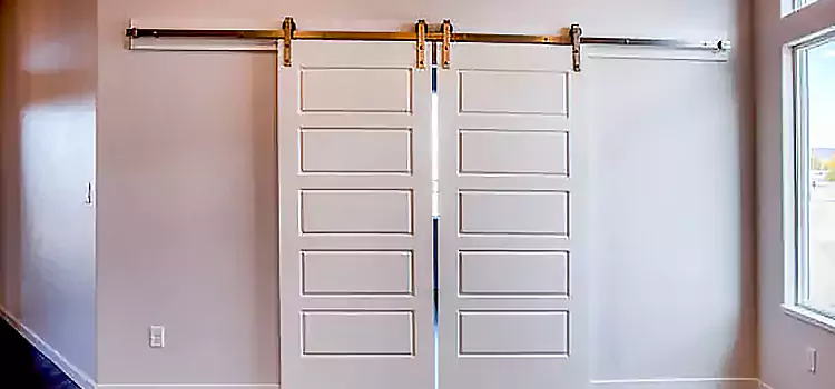 Glass Barn Door with Installation Hardware Kit Pearl
