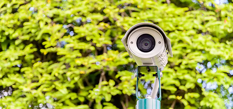 Advanced Surveillance Solutions for Every Need in Pearl