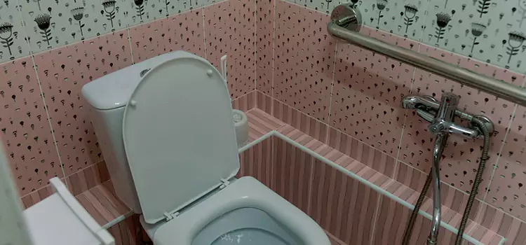 Meeting Diverse Needs With Accessible Restroom Solutions in Pearl, MS