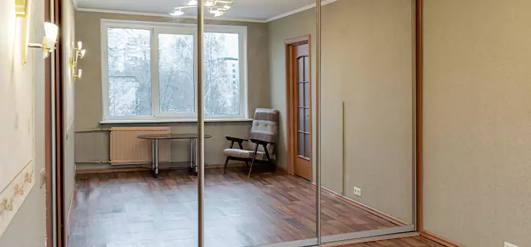 Mirror Closet Door Roller Replacement Pearl
