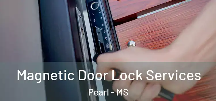  Magnetic Door Lock Services Pearl - MS